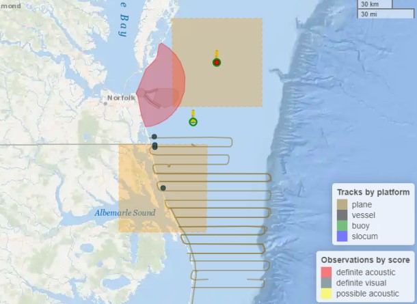 WhaleMap.jpg
