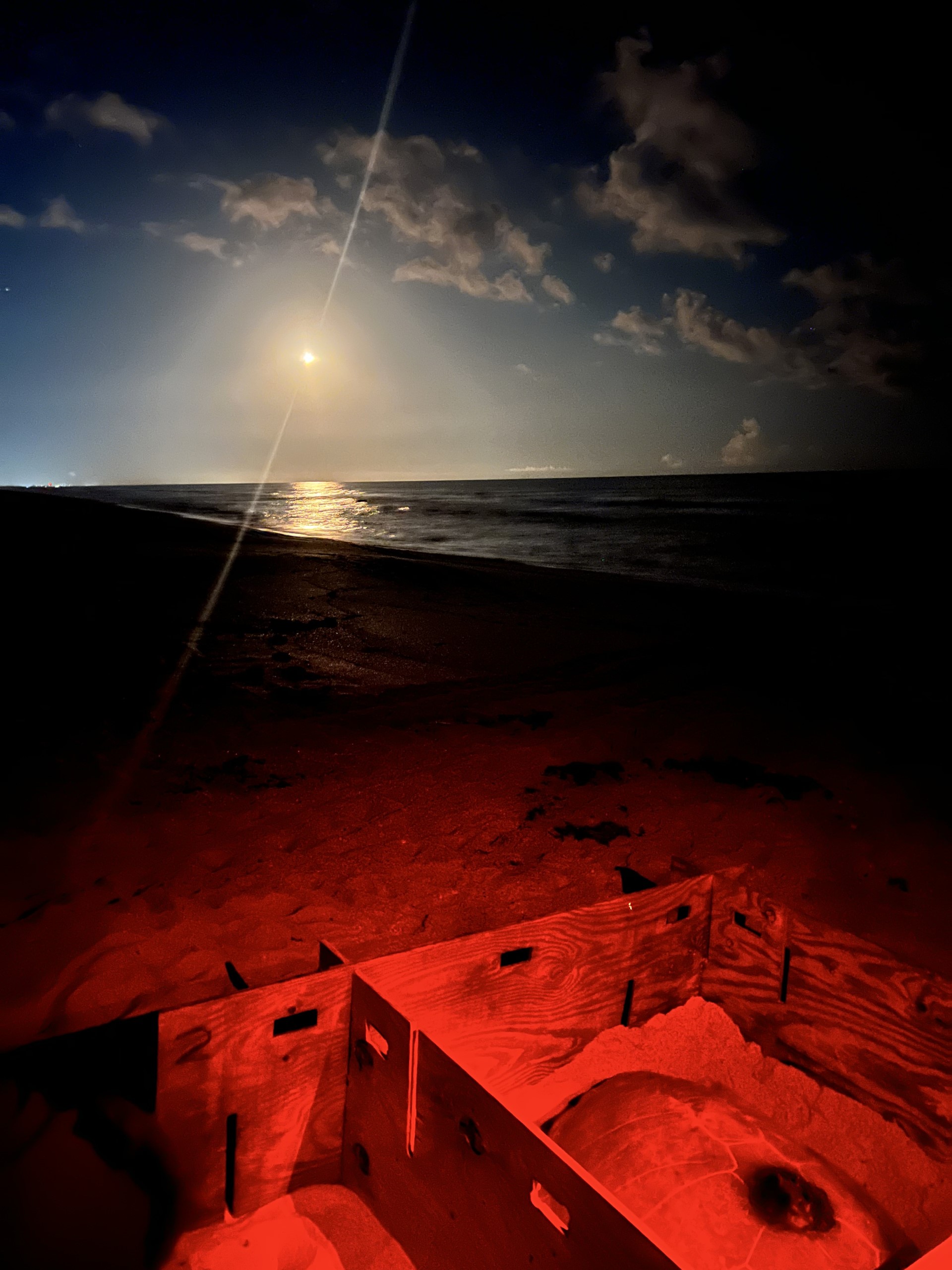 A nesting green sea turtle has been tagged with a Wildlife Computers SPLASH10 Argos satellite tag and awaits release as a rocket launches from Kennedy Space Center. (Photo credit: Bailey Yarbrough; MTP-25-171/-186).