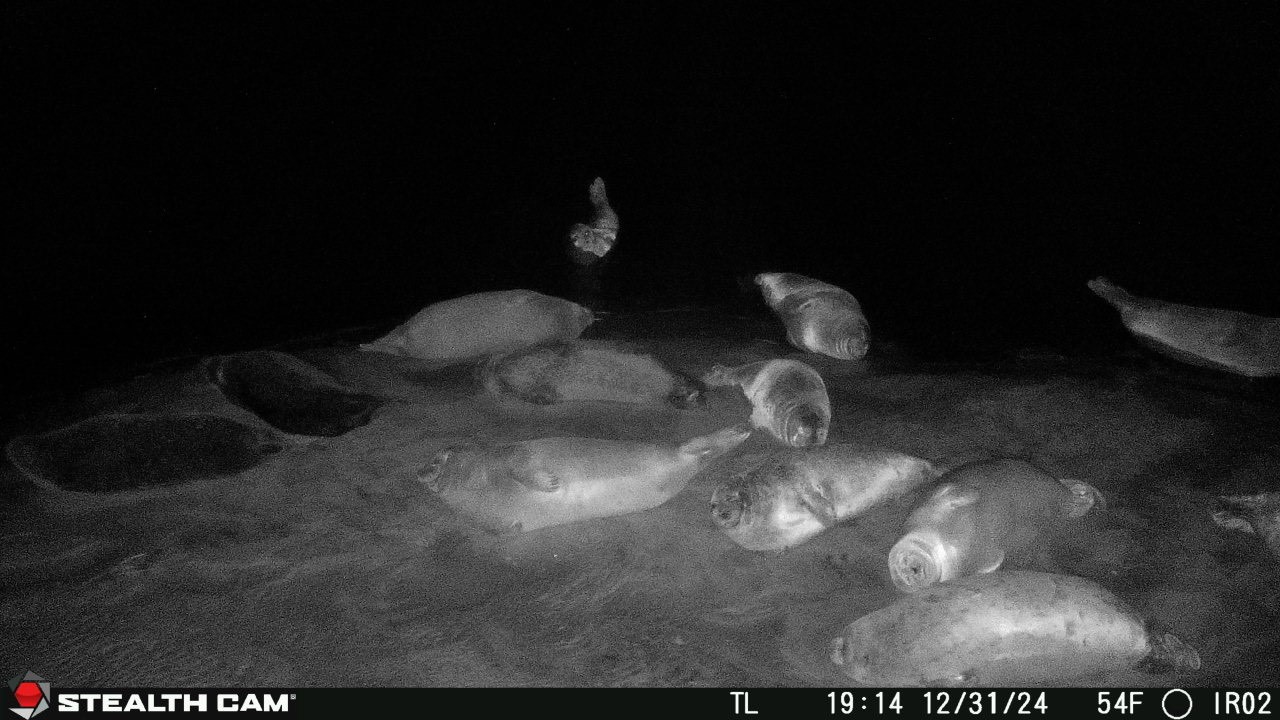 Nighttime_camera_image_Pv_on_E2_610