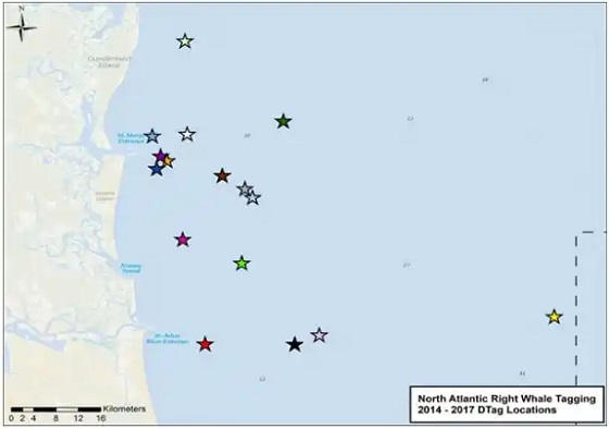 Dtag deployment location map
