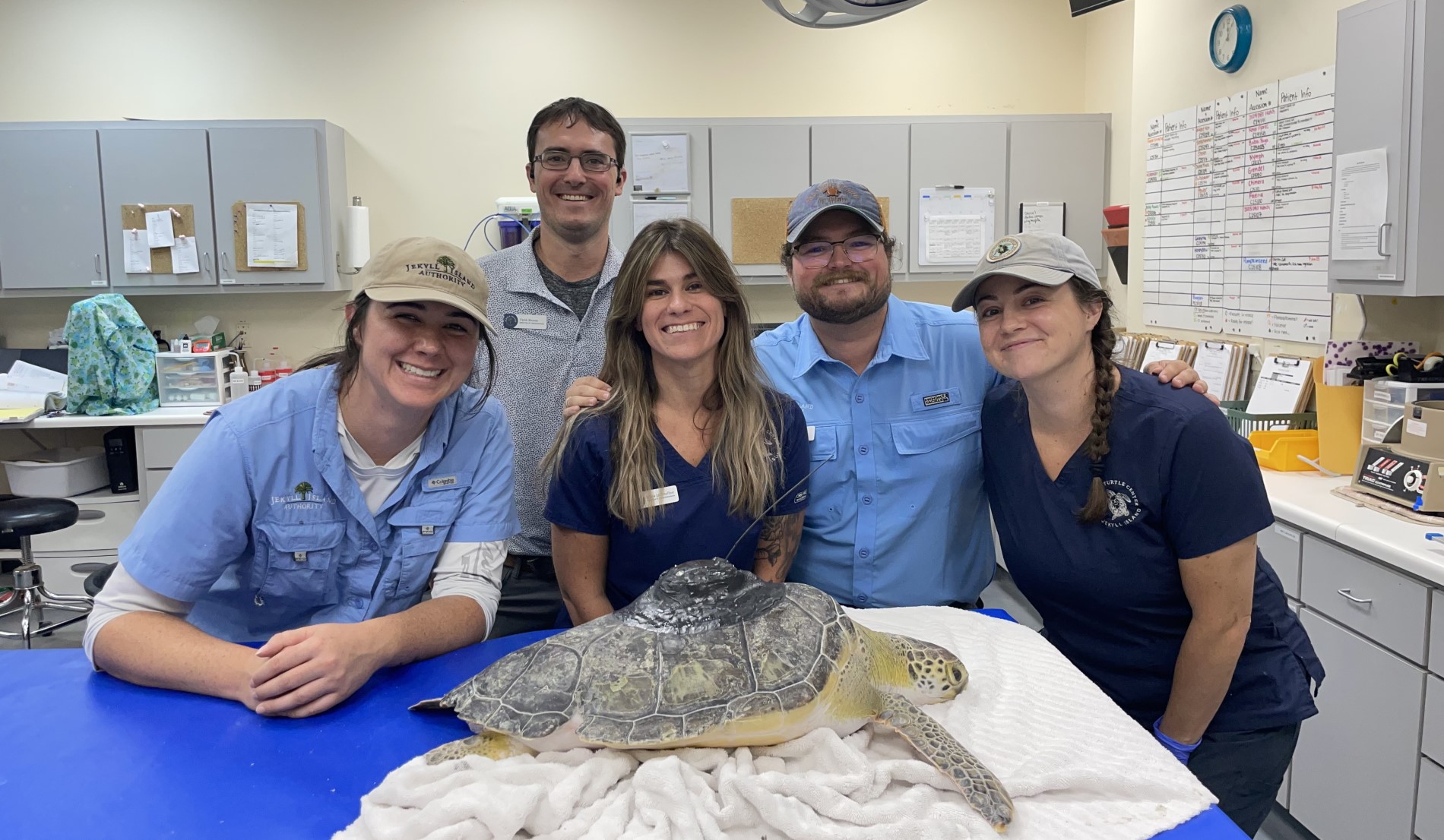 Image slide of Project partners from the Georgia Sea Turtle Center with the tag in place on a juvenile green turtle
