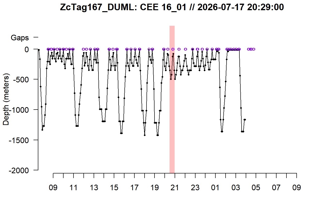 ZcTag167.jpg