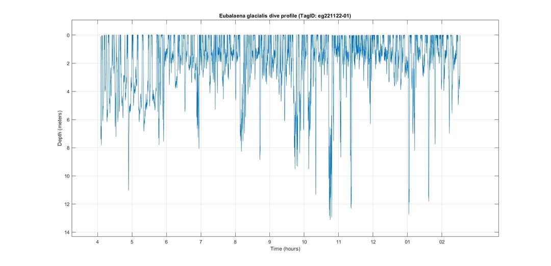 dive_profile.jpg