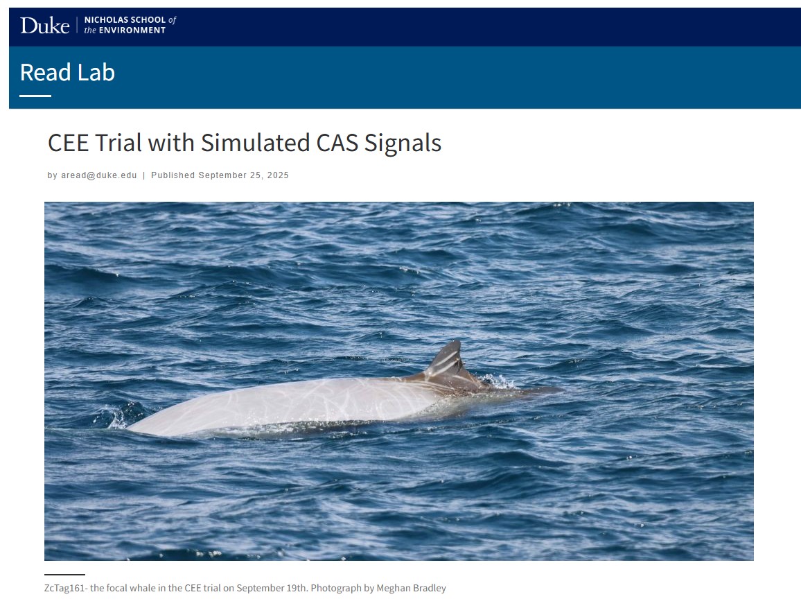 CEE-Simulated.jpg