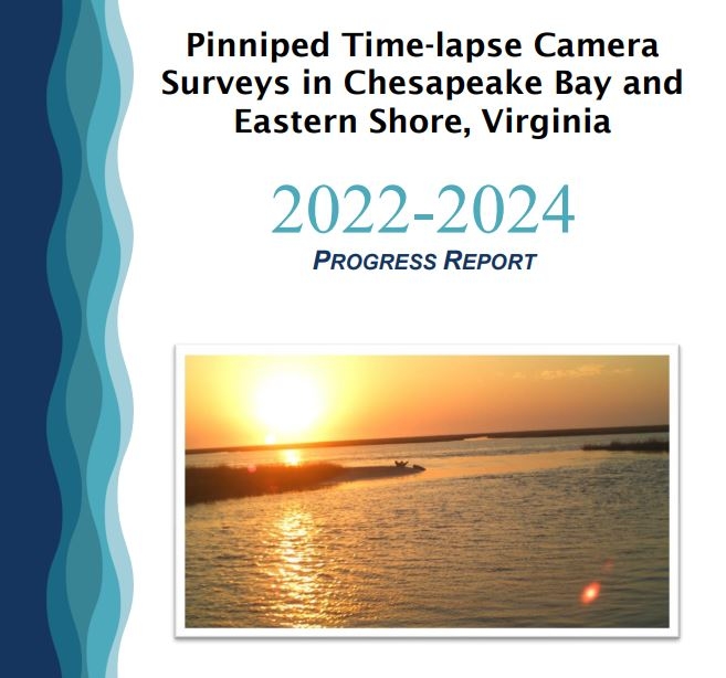 Pinniped Time-lapse Camera Surveys in Chesapeake Bay and Eastern Shore, Virginia: 2022-24 progress report thumbnail image